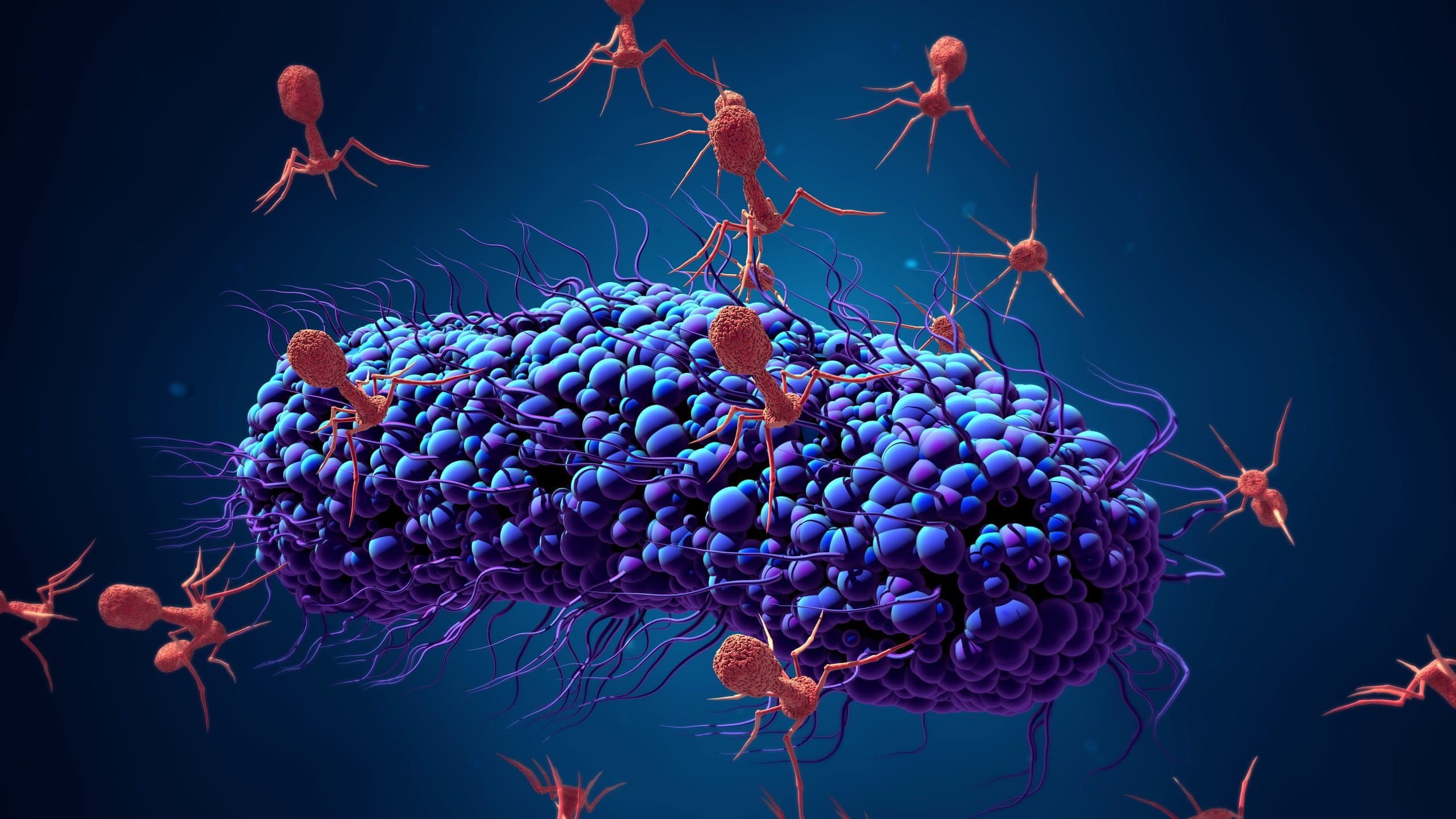 Bacteriofagen