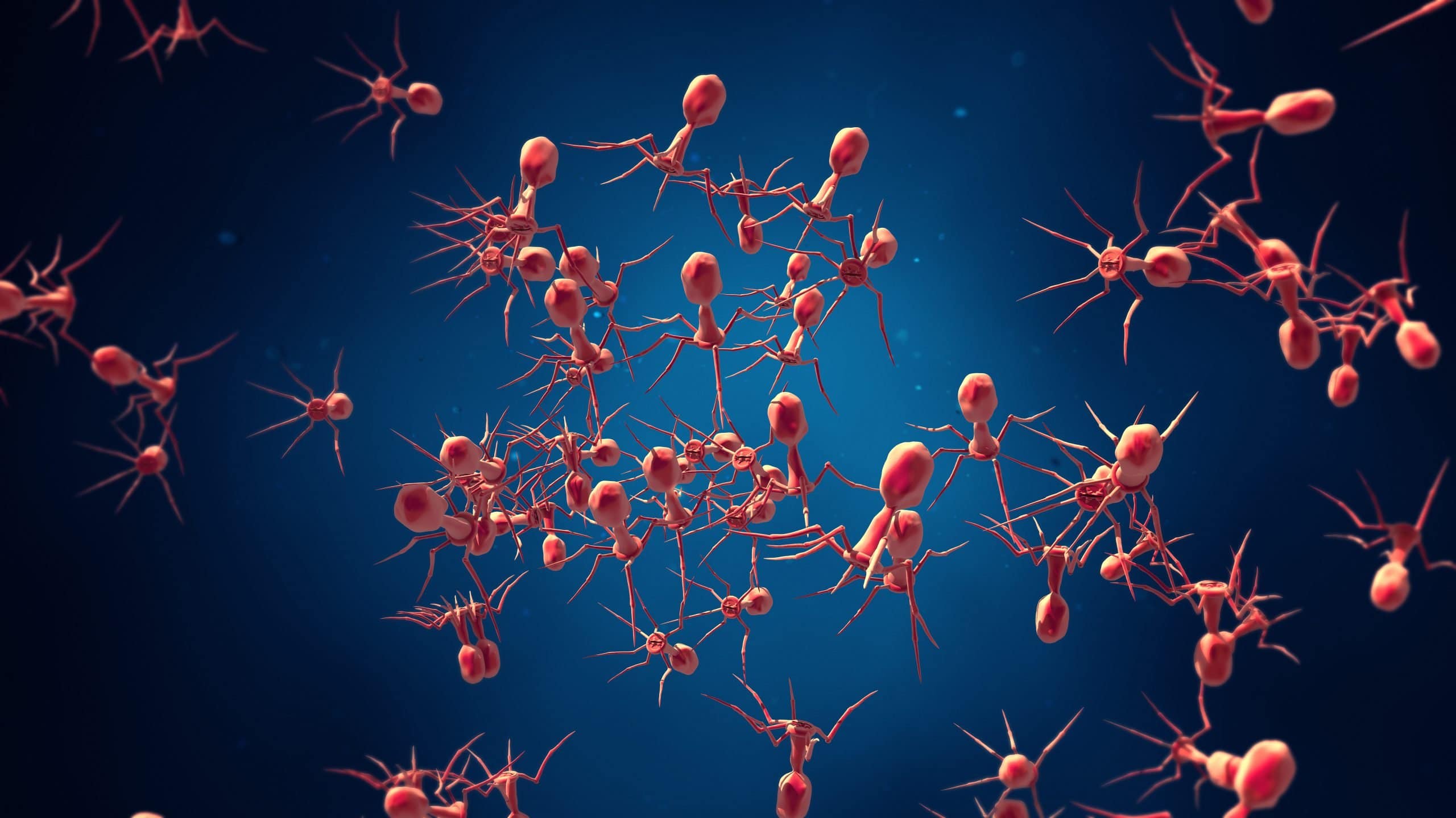 Bacteriofagen
