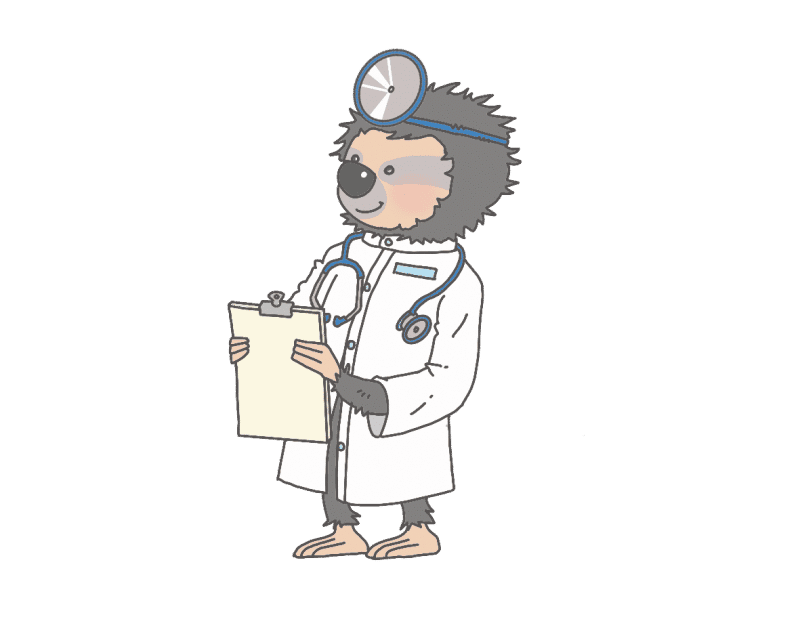 Dokter