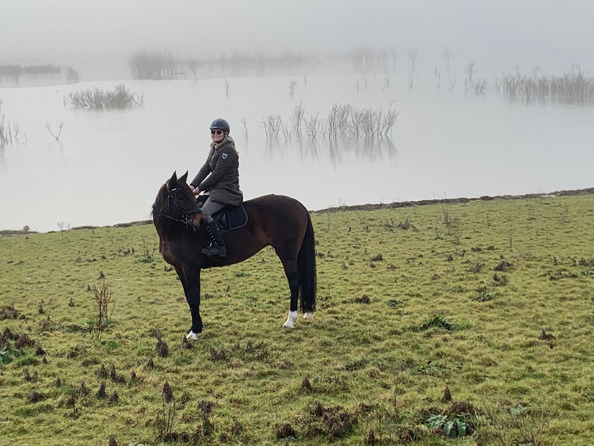 Jill goede voornemens blog paard reiki