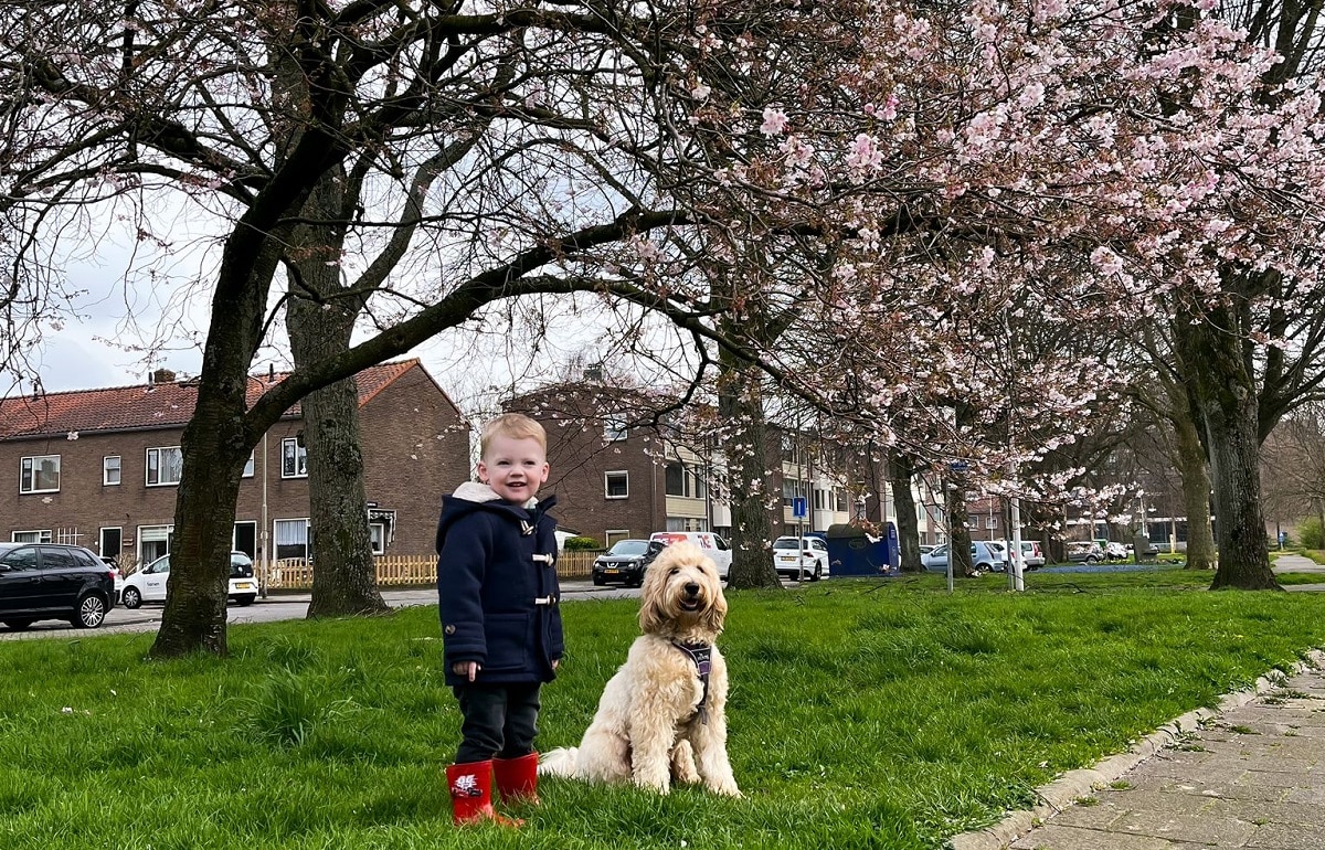 Jill Oosterbaan Kinderwens blog