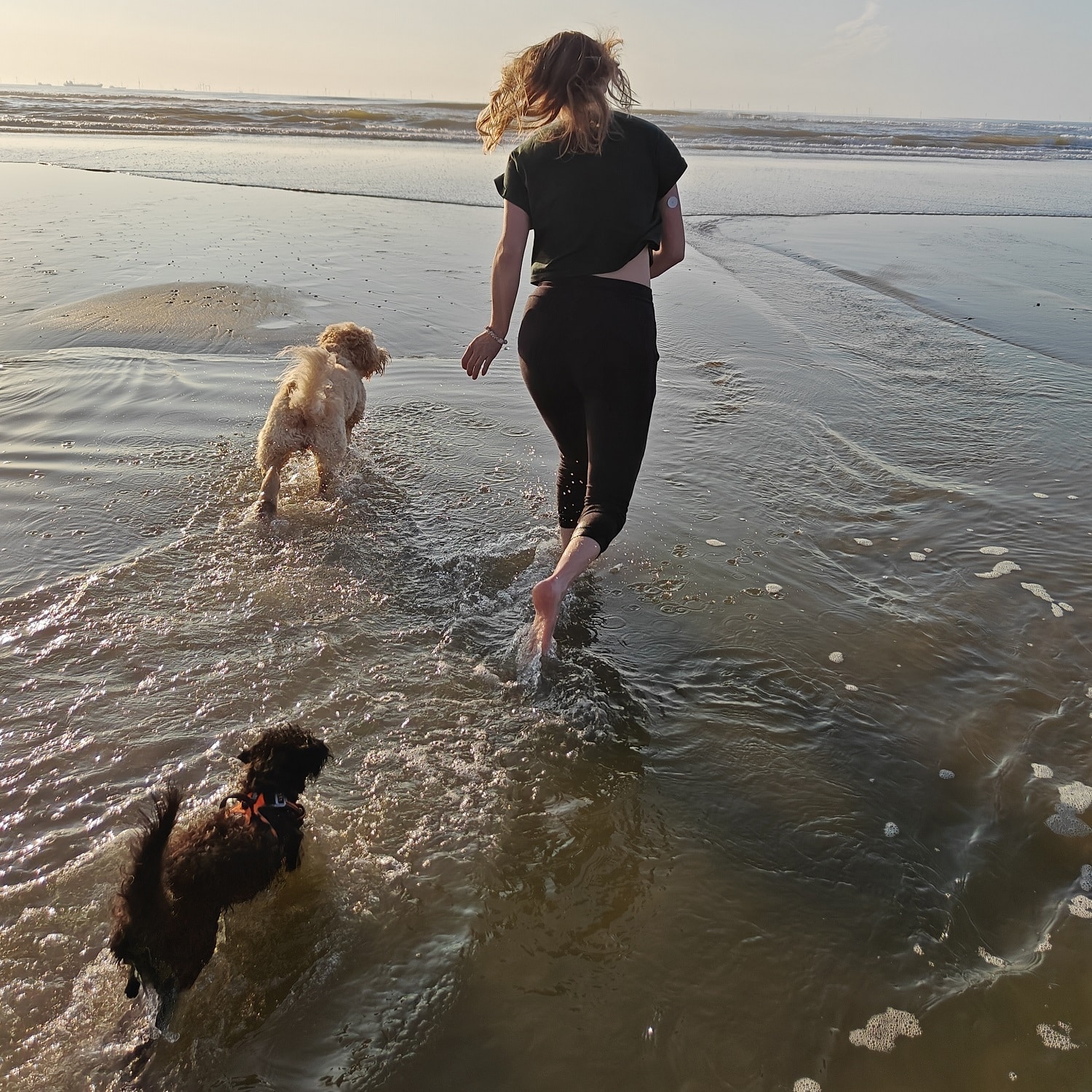 Blog 11 Jill Angsten_hondjes