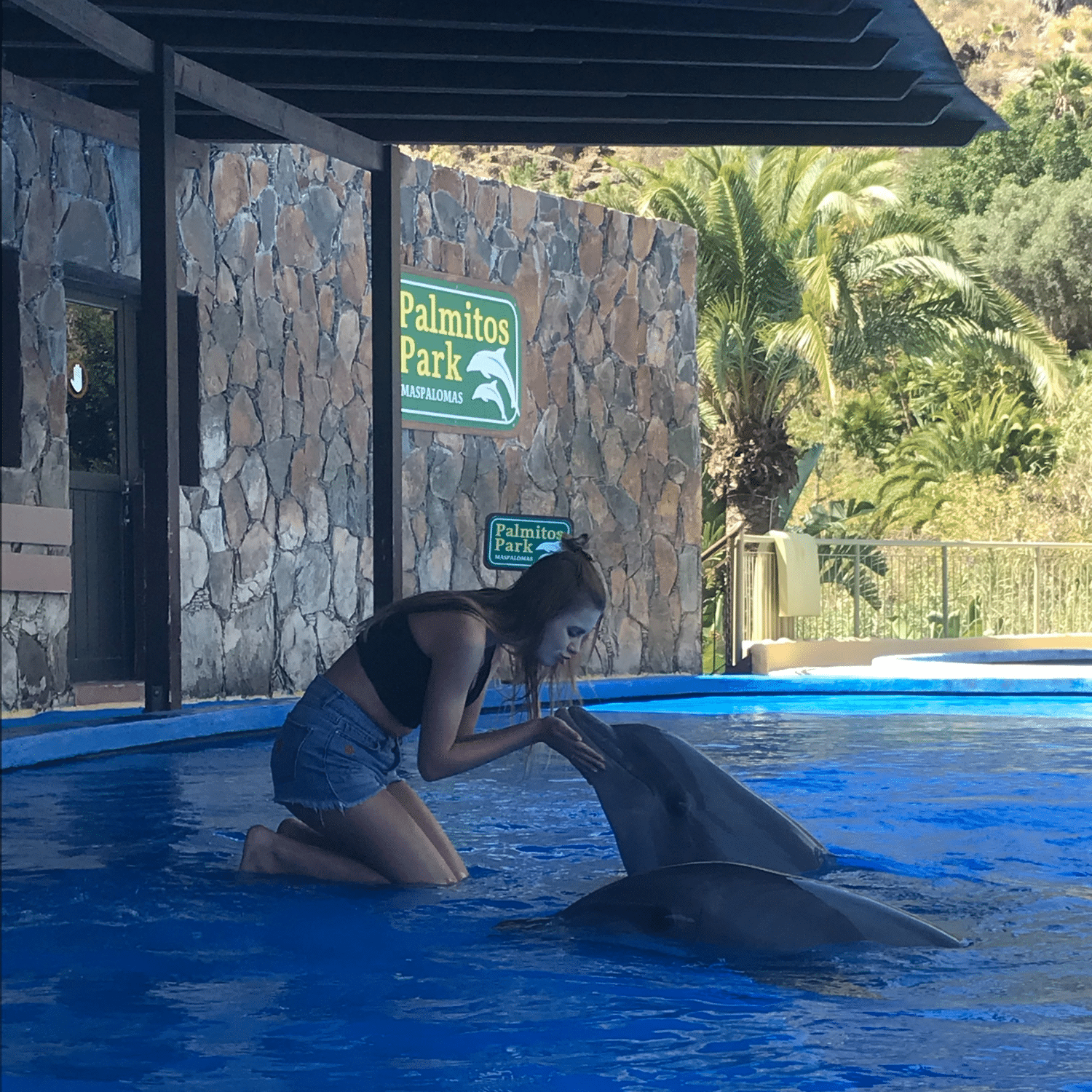 Blog wie is nou de echte dokter