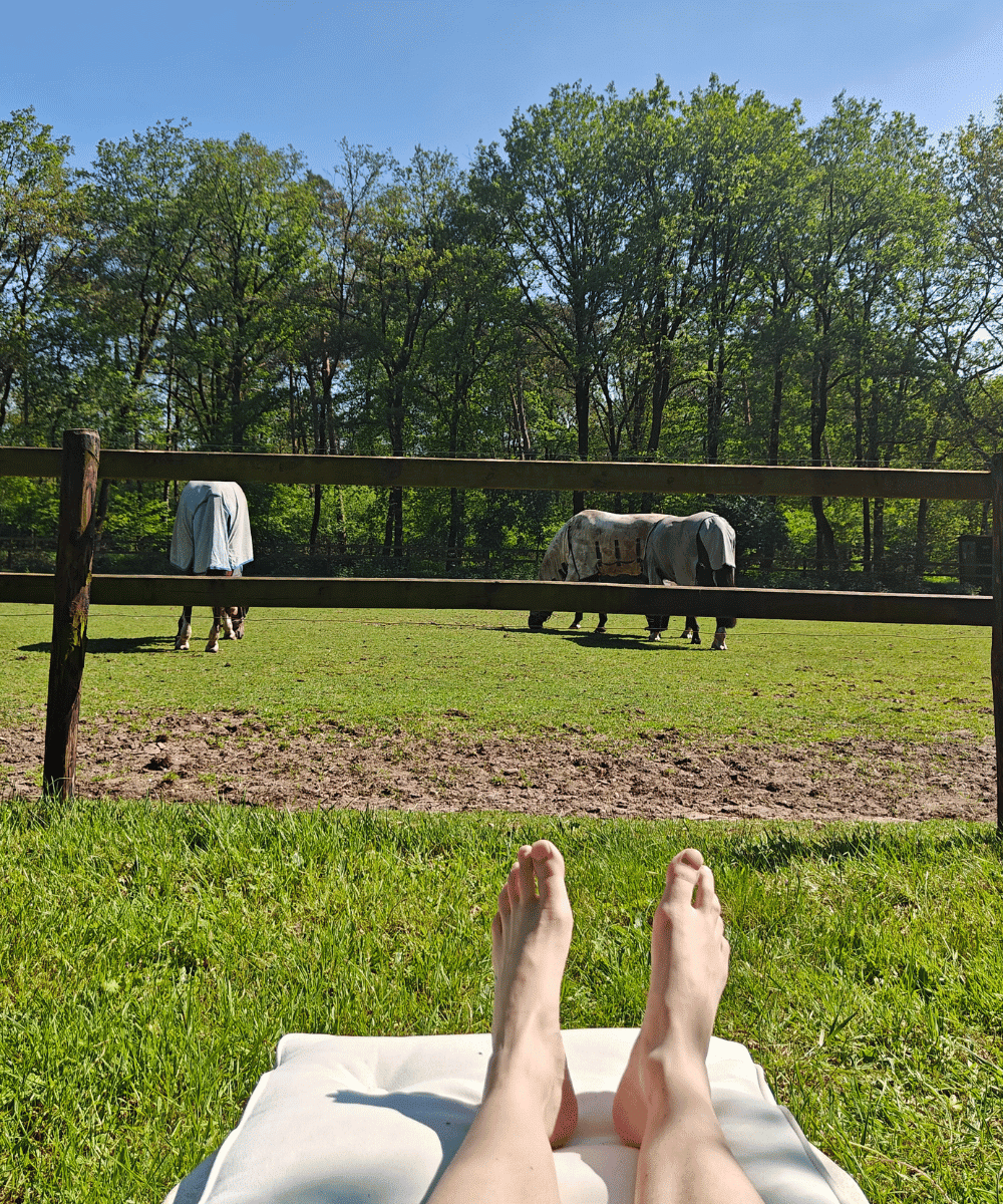 Blog Jill - Kort geluk - Beeld website (1)