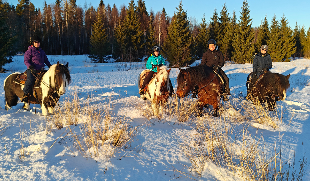 Luleå 2025 - Blog Jill - Beeld 2